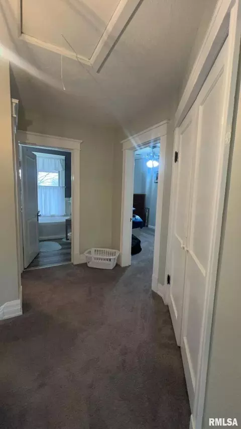 308 W Cherry Ave, Christopher, IL 62822 photo 35