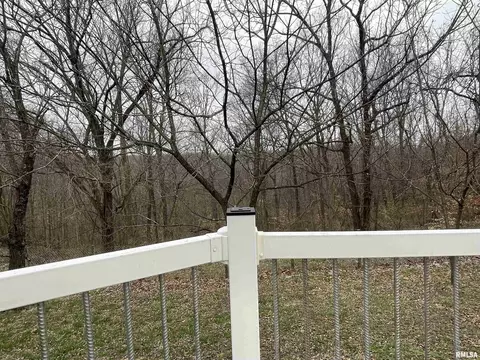 3 Wiley Rd, Murphysboro, IL 62966 photo 35