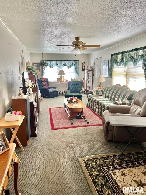 611 E Smith St, Benton, IL 62812 photo 20