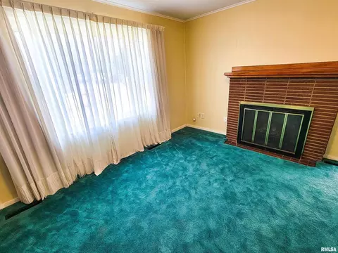 616 S Mill St, Flora, IL 62839 photo 9