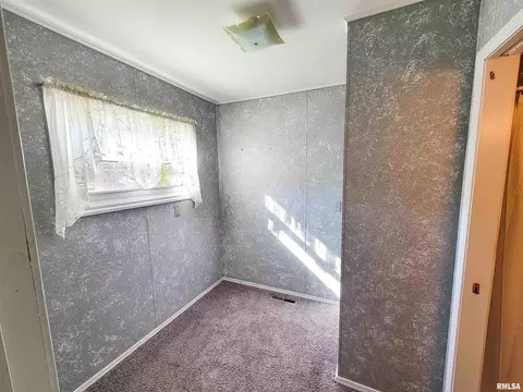 616 S Mill St, Flora, IL 62839 photo 47