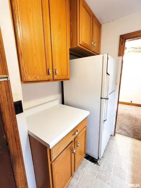 911 N State Rd, Flora, IL 62839 photo 22