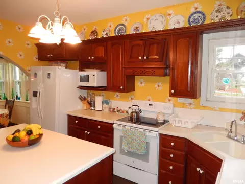1865 Boyd Rd, Anna, IL 62906 photo 44