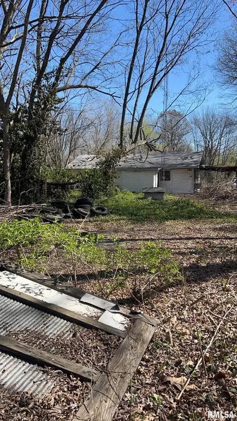 35 Mcdowell Rd, Murphysboro, IL 62966 photo 6