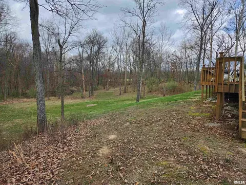 9518 E Webb Rd, Mount Vernon, IL 62864 photo 6