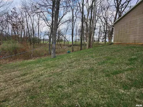 9518 E Webb Rd, Mount Vernon, IL 62864 photo 10