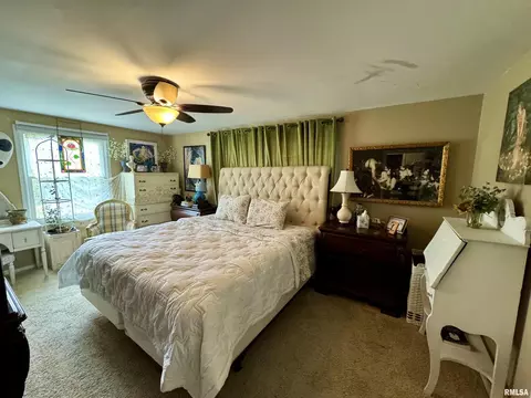 400 E Ash St, Cobden, IL 62920 photo 7