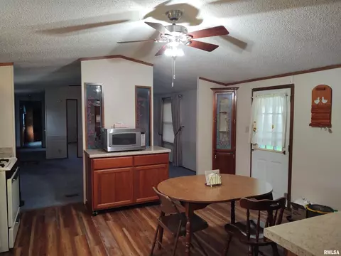 204 Harnerville Loop, Vienna, IL 62995 photo 13