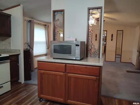 204 Harnerville Loop, Vienna, IL 62995 photo 8