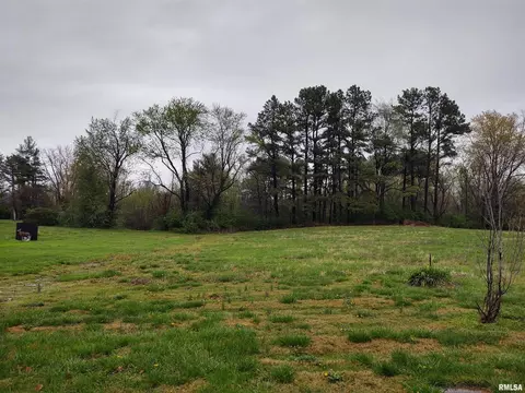 204 Harnerville Loop, Vienna, IL 62995 photo 6