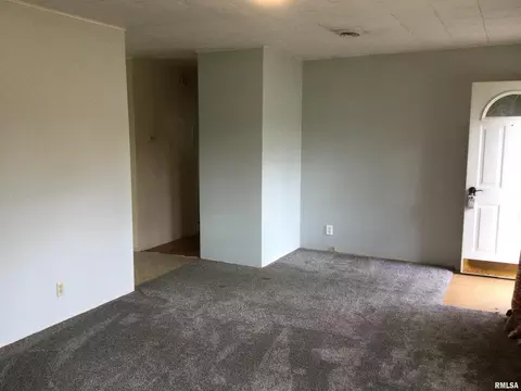 311 Brady Mill Rd, Anna, IL 62906 photo 5
