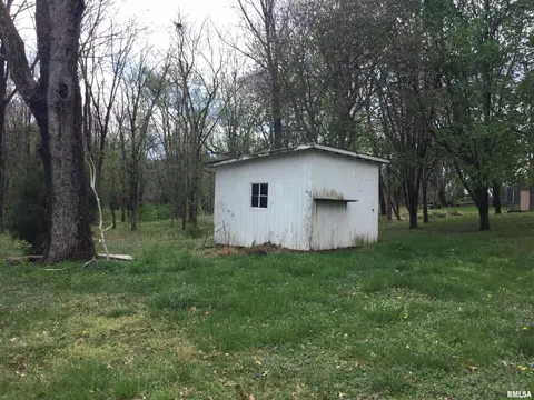 311 Brady Mill Rd, Anna, IL 62906 photo 3