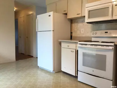 311 Brady Mill Rd, Anna, IL 62906 photo 9