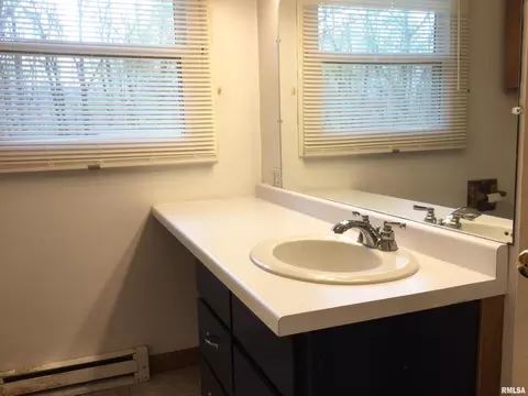 311 Brady Mill Rd, Anna, IL 62906 photo 13
