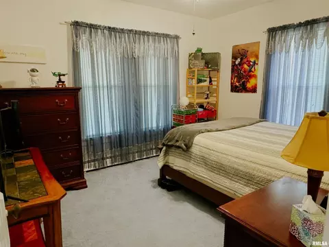 322 E Poplar St, Cobden, IL 62920 photo 47