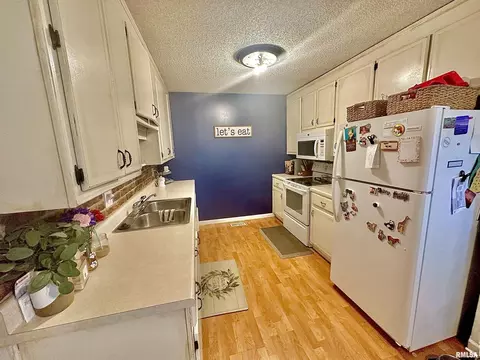 1629 Saunders Ave, Carmi, IL 62821 photo 4