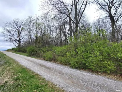 4911 Chana Rd, Walnut Hill, IL 62893 photo 49