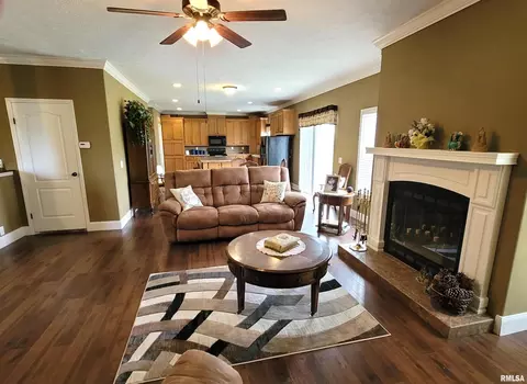 4911 Chana Rd, Walnut Hill, IL 62893 photo 5