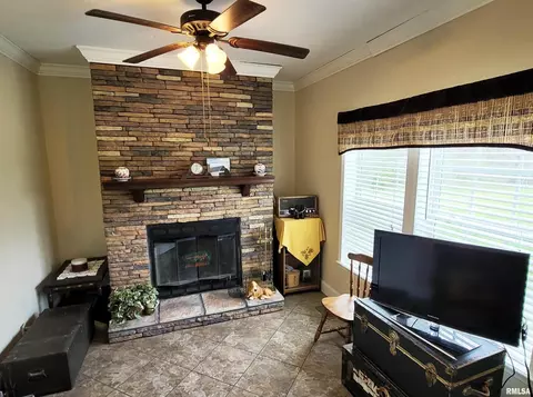 4911 Chana Rd, Walnut Hill, IL 62893 photo 21