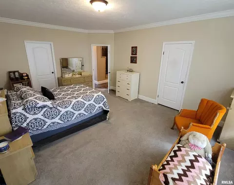 4911 Chana Rd, Walnut Hill, IL 62893 photo 13