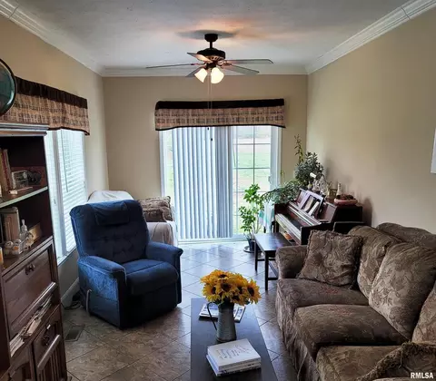 4911 Chana Rd, Walnut Hill, IL 62893 photo 22