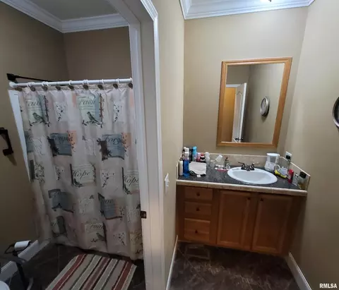 4911 Chana Rd, Walnut Hill, IL 62893 photo 26