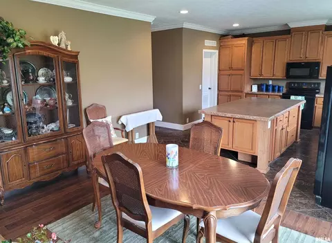 4911 Chana Rd, Walnut Hill, IL 62893 photo 6