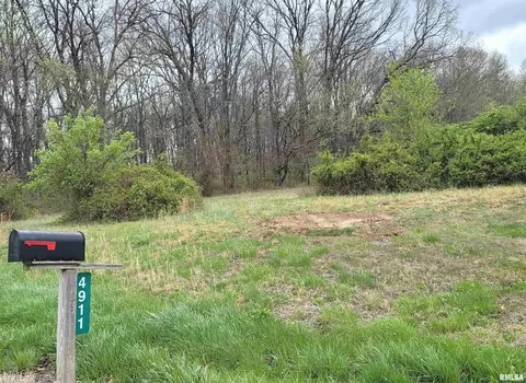 4911 Chana Rd, Walnut Hill, IL 62893 photo 50