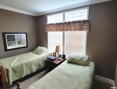 4911 Chana Rd, Walnut Hill, IL 62893 photo 28