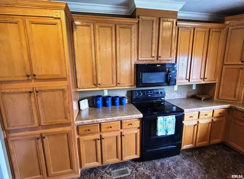 4911 Chana Rd, Walnut Hill, IL 62893 photo 9
