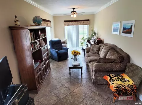 4911 Chana Rd, Walnut Hill, IL 62893 photo 20
