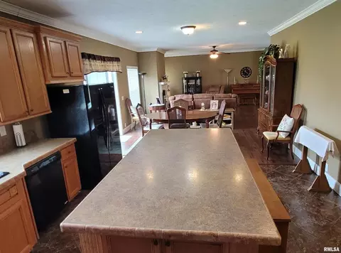 4911 Chana Rd, Walnut Hill, IL 62893 photo 11