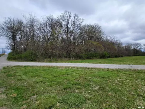 4911 Chana Rd, Walnut Hill, IL 62893 photo 30