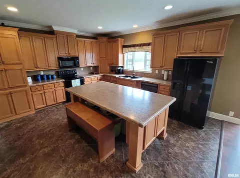 4911 Chana Rd, Walnut Hill, IL 62893 photo 7