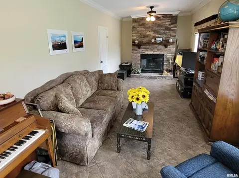 4911 Chana Rd, Walnut Hill, IL 62893 photo 19