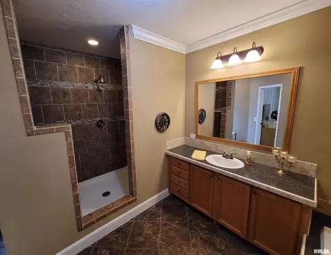 4911 Chana Rd, Walnut Hill, IL 62893 photo 15