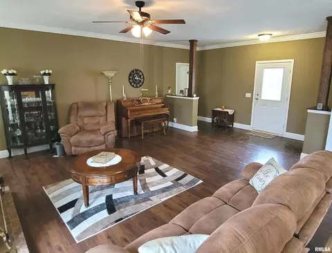 4911 Chana Rd, Walnut Hill, IL 62893 photo 3