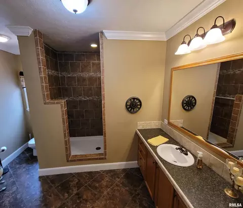 4911 Chana Rd, Walnut Hill, IL 62893 photo 17