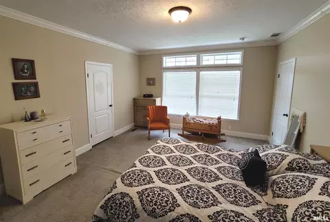 4911 Chana Rd, Walnut Hill, IL 62893 photo 14