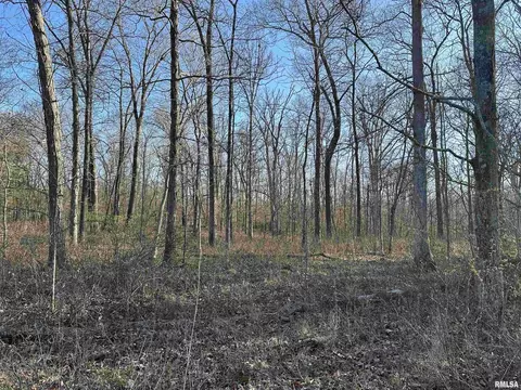 000 E 400th Ave, Mason, IL 62443 photo 21