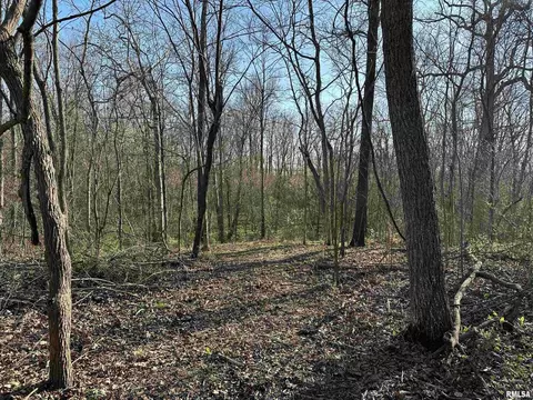 000 E 400th Ave, Mason, IL 62443 photo 17