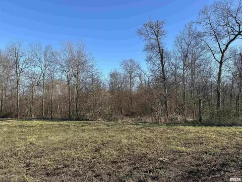 000 E 400th Ave, Mason, IL 62443 photo 11