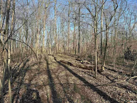 000 E 400th Ave, Mason, IL 62443 photo 18