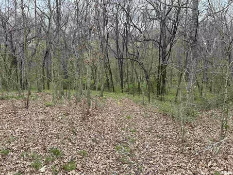8710 E Allen Rd, Iuka, IL 62849 photo 14