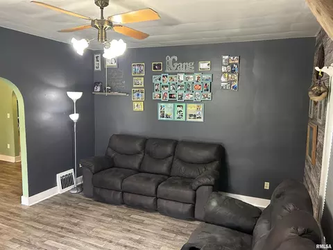 8710 E Allen Rd, Iuka, IL 62849 photo 21