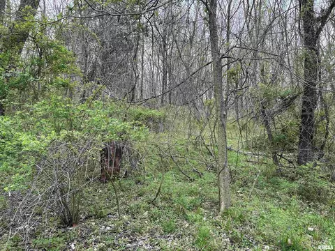 8710 E Allen Rd, Iuka, IL 62849 photo 16