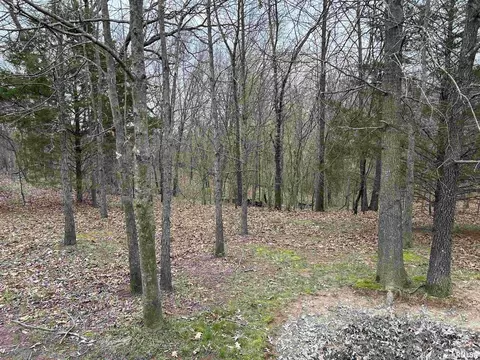 8710 E Allen Rd, Iuka, IL 62849 photo 19