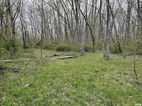 8710 E Allen Rd, Iuka, IL 62849 photo 15