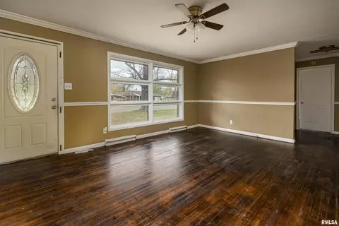 338 Park Ln, Herrin, IL 62948 photo 8