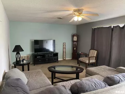 305 S Church St, Christopher, IL 62822 photo 12